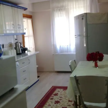 Tatil Evi Blue Paradise Altınoluk